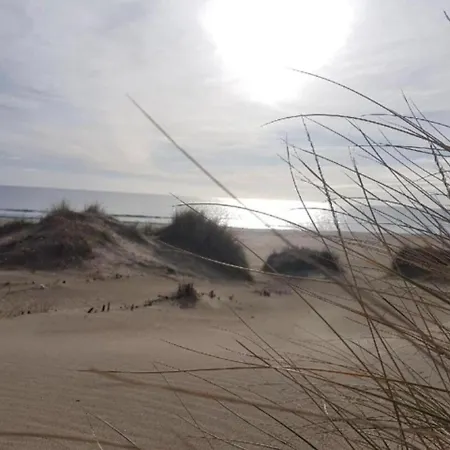 Cap D'agde Lägenhet *